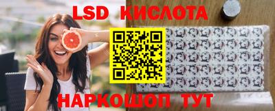 дживик Кингисепп