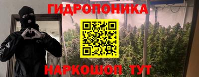 jwh Кинель