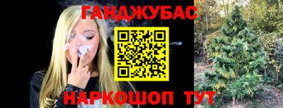 сатива Кимры