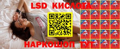 сатива Кимры