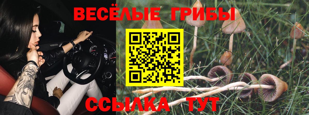 Галлюциногенные грибы Psilocybe  Вход с VPN  Красный Сулин  Псилоцибиновые грибы мухоморы 